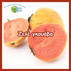 Ζελέ γκουάβα